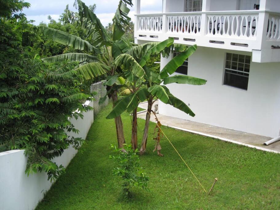Selen'S Apartment In Ti Rocher Micoud Saint Lucia Zewnętrze zdjęcie